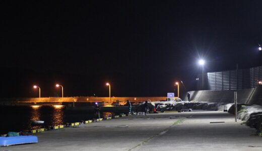 真冬のエギング釣行でアオリイカ3尾 熊本・上天草厳寒期の場所選びのコツとは？アウトドアカーライフ・カー用品サイトMOBILA モビラ