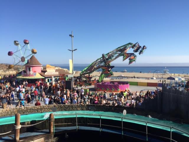 ビーチ サンフランシスコ カリフォルニア