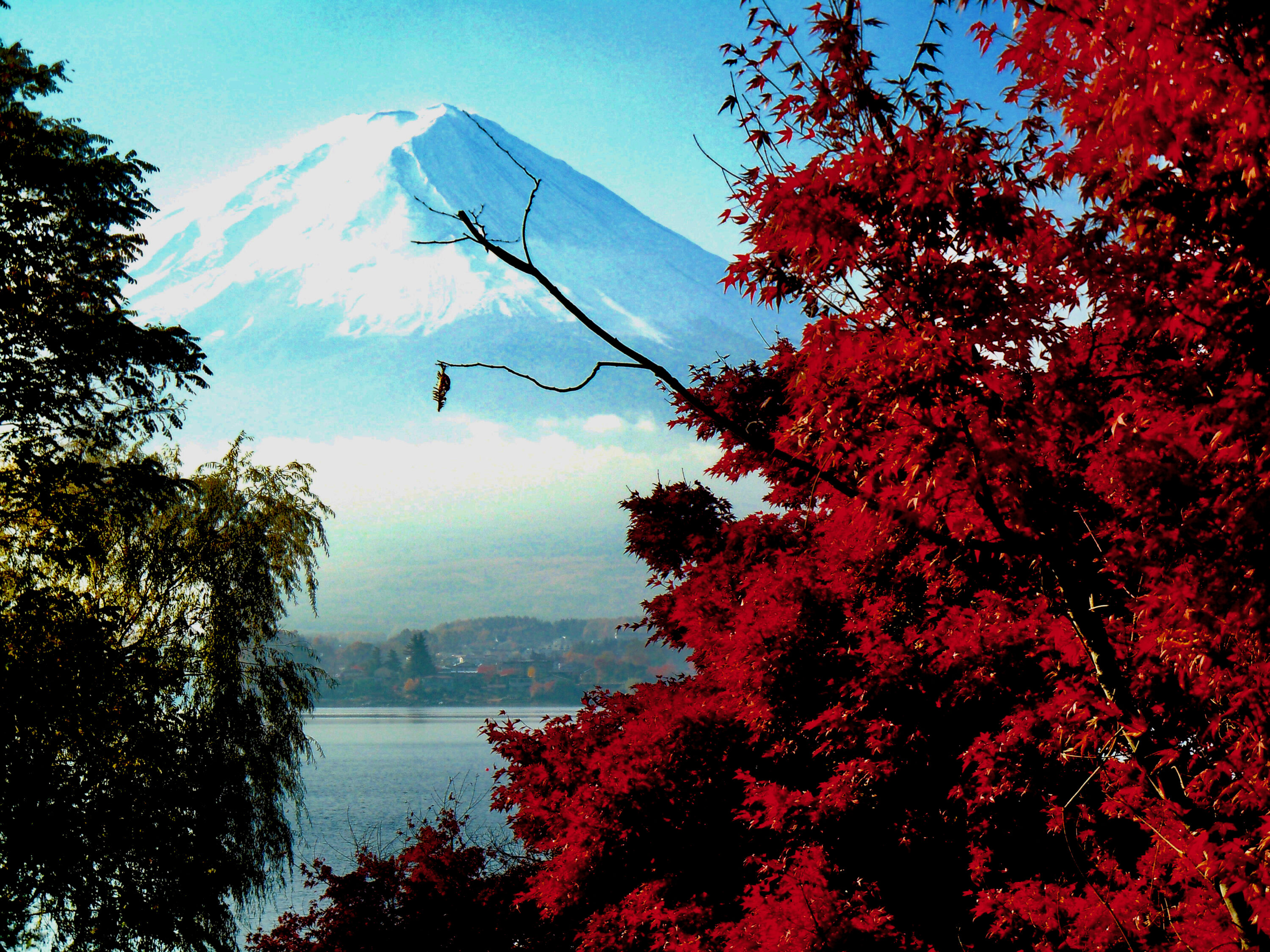 紅葉に染まる「河口湖もみじ回廊」＆ 山中湖ダイヤモンド富士鑑賞！道の駅でお買い物バスツアー ～名物ほうとうのご昼食付き～日帰り旅行・ツアーはポケカルで