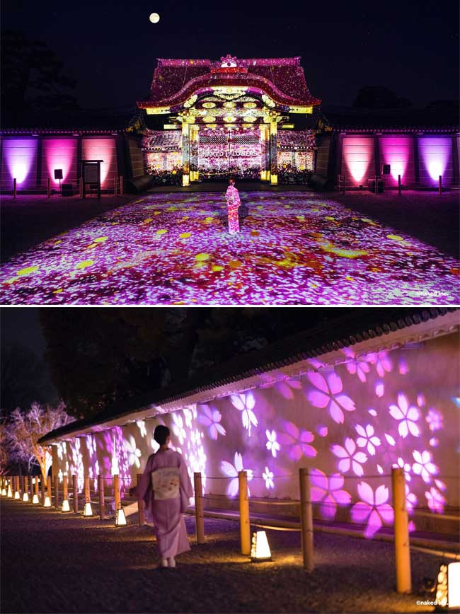 NAKID桜まつり世界遺産二条城入場チケット2枚 - メルカリ