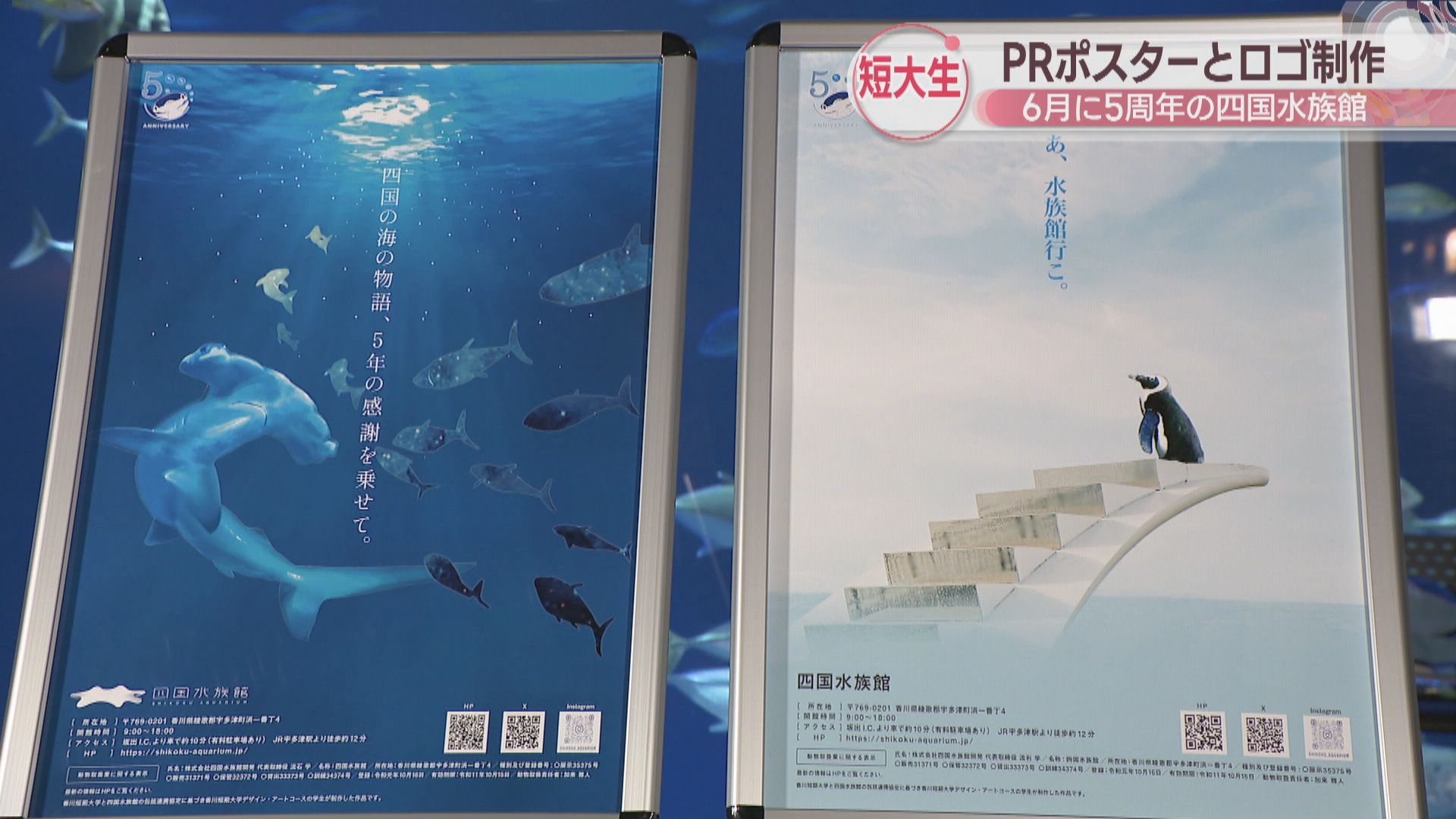 Nightscapeこがねいろ2021』4 29 木 ～5