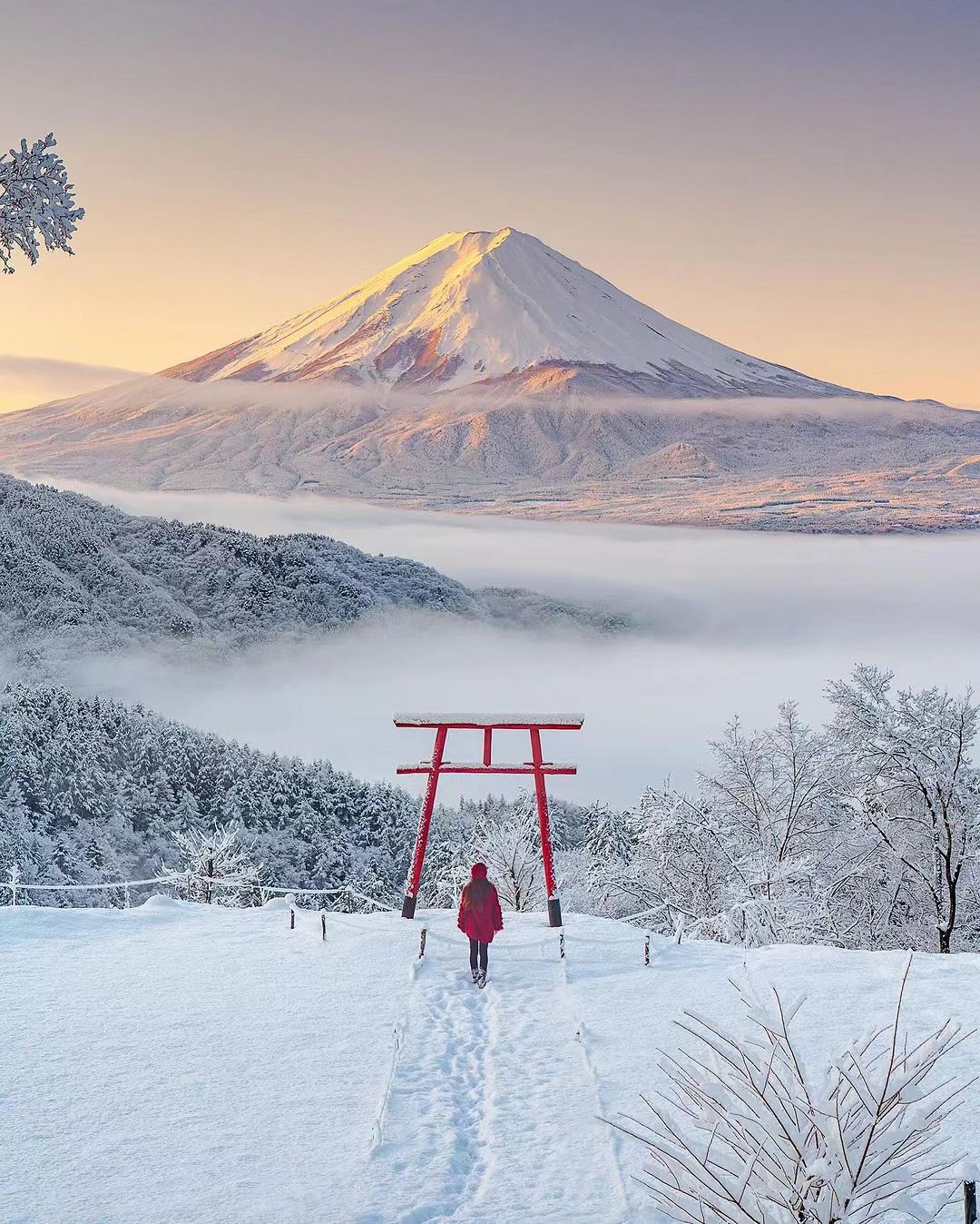 天空の鳥居から見る絶景！香川県観音寺市の「高屋神社」を参拝しよう楽天トラベル