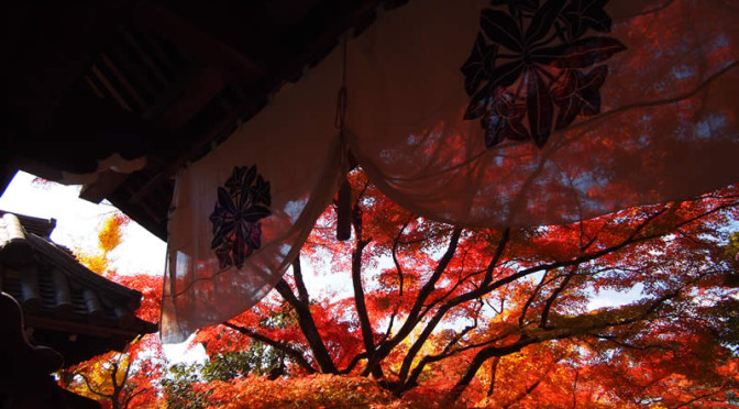 永観堂 禅林寺京都観光・グルメスポット検索