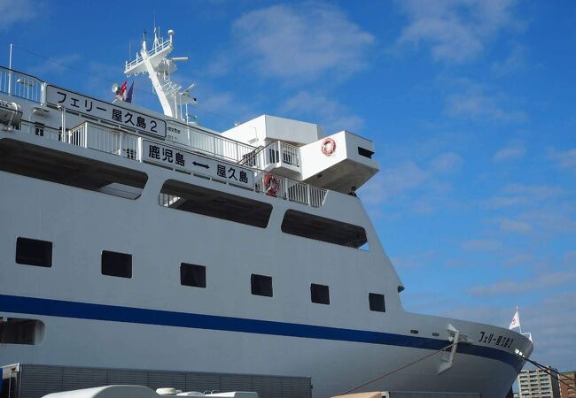 屋久島旅行の費用について屋久島ツアー・観光に関するお役立ち情報