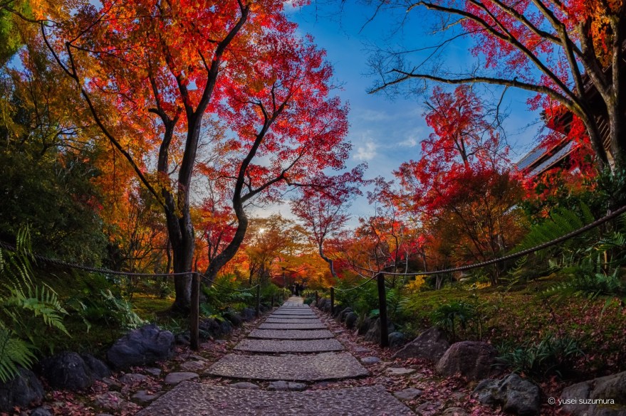 京都 宝筐院の御朱印情報 境内庭園の紅葉は嵐山でもトップクラス