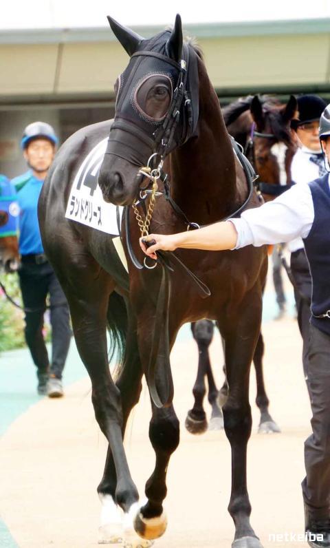 ネットマーブル、『セブンナイツ』で青銀の第七席「ランドグリーズ」を追加 新領地「ヴァルハラの境界」も実装gamebiz