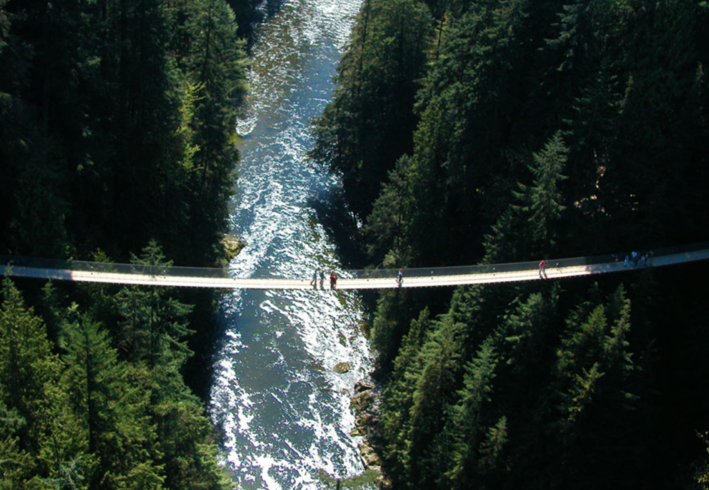 2025年 キャピラノ吊り橋の割引チケット予約術手数料ゼロのお得な行き方・見どころ完全ガイド -