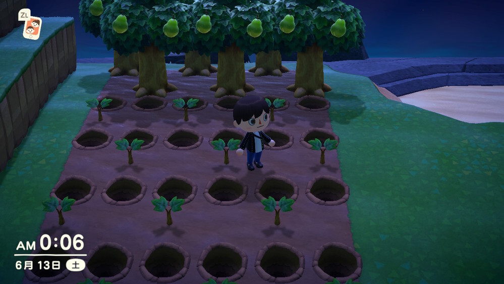 退屈だからあつ森を始めてみた 第32回「果樹園を作る」 -