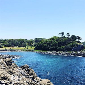 呼子観光：波戸岬、朝市、加部島、唐津うまいもん市場一生楽しむ旅