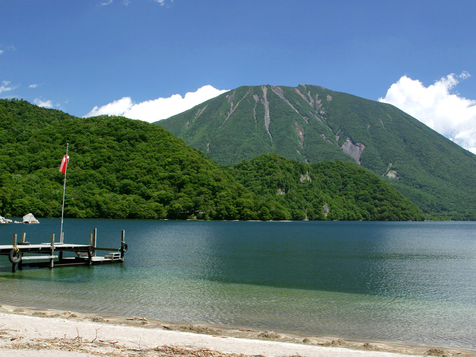 千手ヶ浜クリンソウ 切込湖刈込湖ハイキング