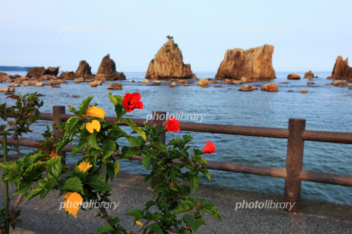 本州最南端の串本町で観光・初日の出など絶景を楽しむ！素敵なホテルも - amAtavi
