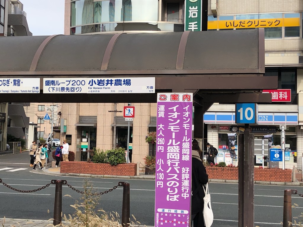 盛岡城跡公園 岩手公園 の桜 盛岡市- お花見2025