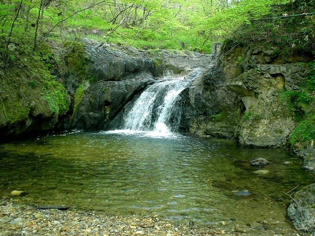 ナンナー🌺 on X: