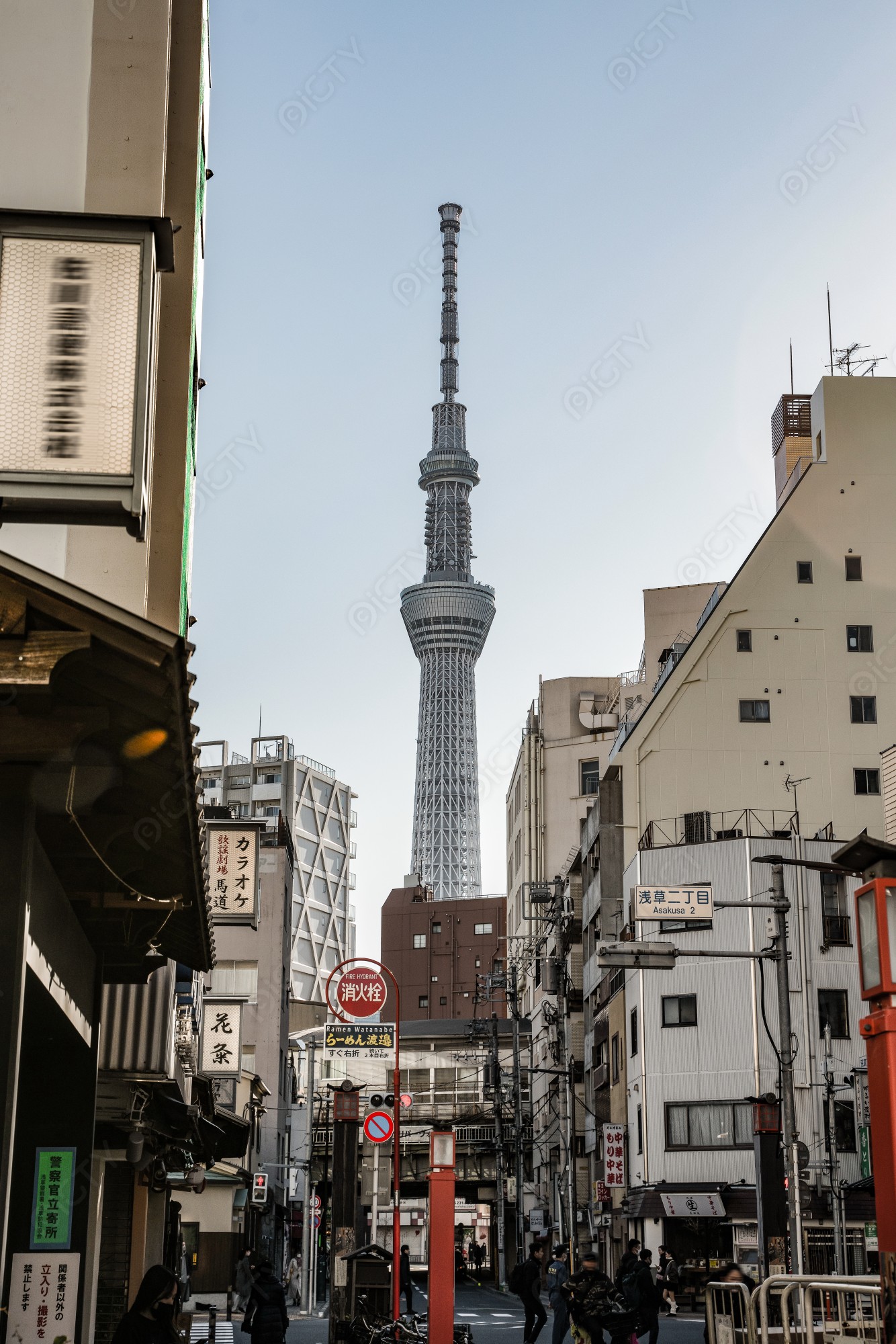 スカイツリーが見える梅の名所亀戸天神社を巡る - 観光・夜景におすすめの撮影ポイントや穴場情報をご紹介する東京スカイツリー