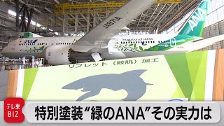 Amazon.co.jp: エチケット袋 solaseed air
