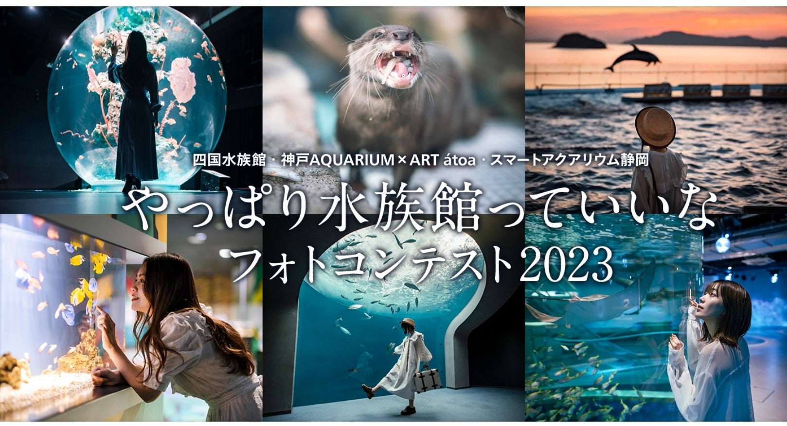 やっぱり水族館っていいなフォトコンテスト2023 最優秀作品を高松空港内に掲出していますプレスリリース四国水族館