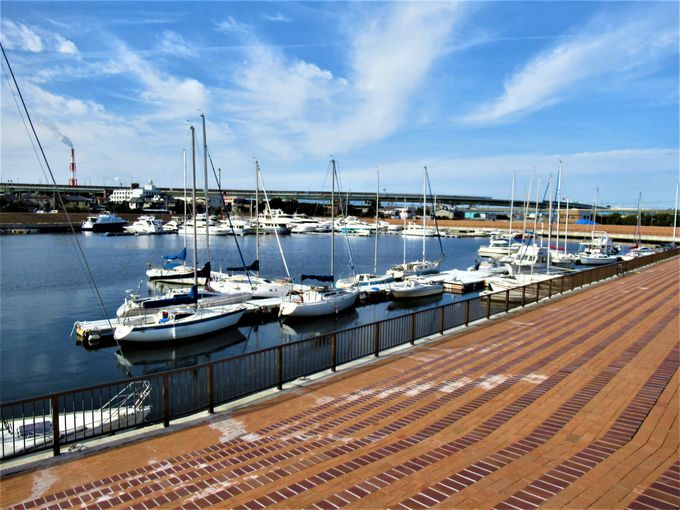 鳥取・境港 紅ズワイガニ45分間食べ放題プラン！ No.147鳥取ツアーズ