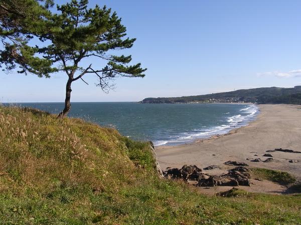 白浜海水浴場 アソビュー！