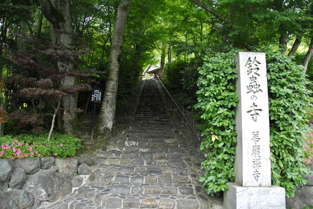 嵐山から仁和寺へのアクセスはバスや嵐電が便利！地元人による嵐山観光の手帖