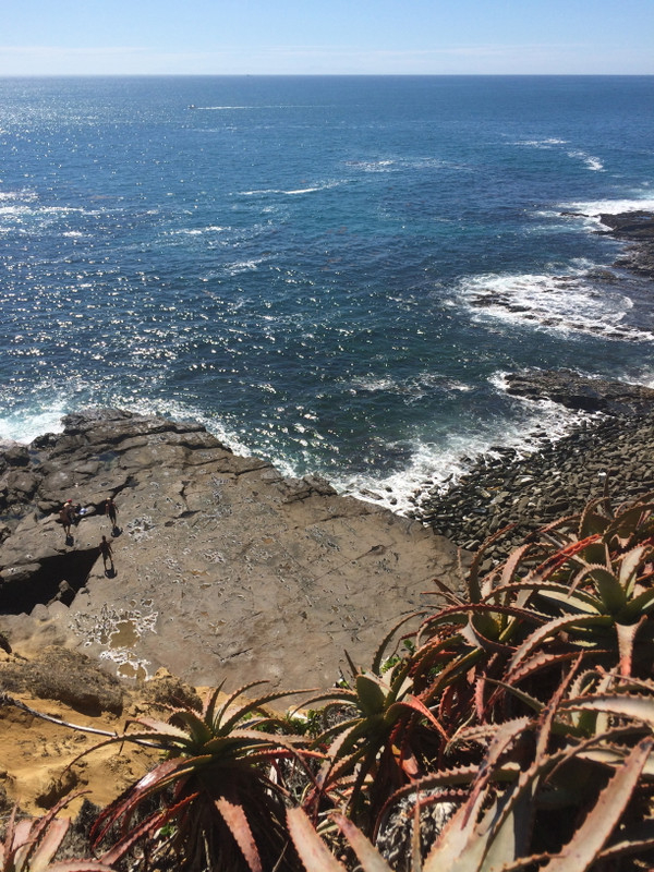 まさに夢のカリフォルニア！ロングビーチのおすすめ観光スポット5選 – skyticket 観光ガイド