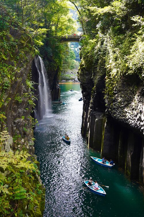 スワンボート」全力でこげ 熊本市の上江津湖 画図小児童が熱戦熊本日日新聞社