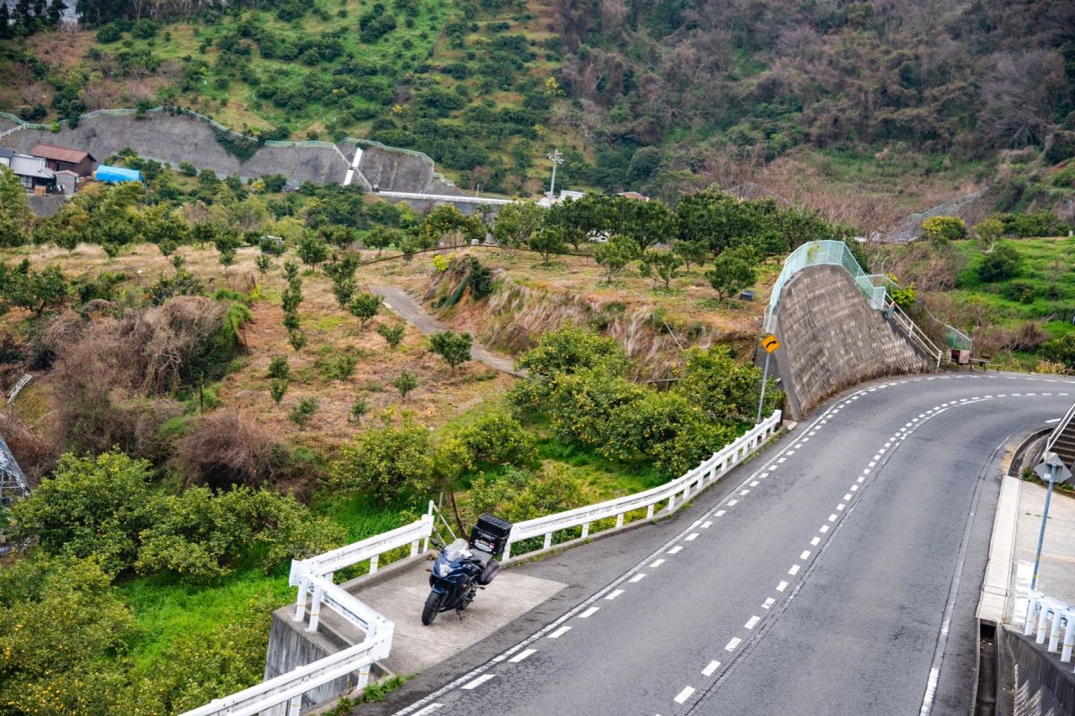 宇佐美農園 旧：伊豆斎藤農園子供とお出かけ情報「いこーよ」