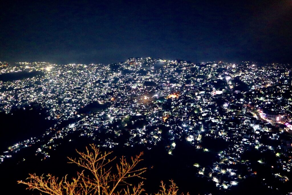 SMB2023研究室ブログ九州大学数理生物学研究室