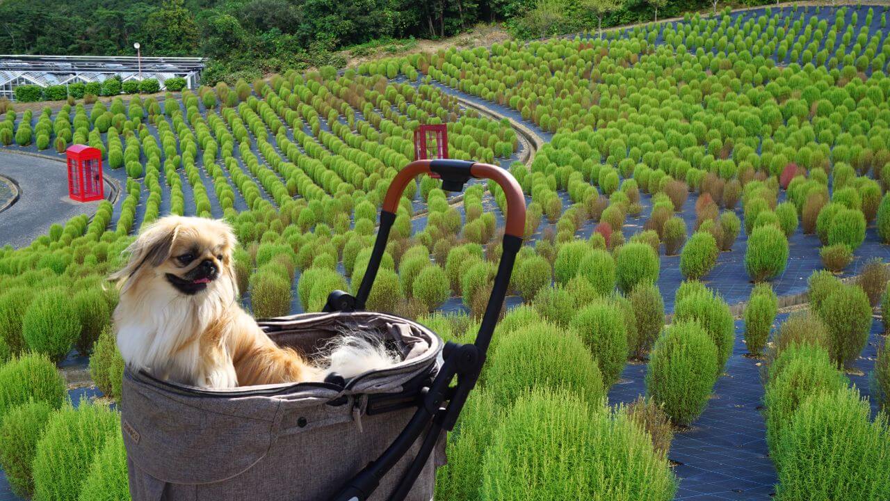 志摩市観光農園@shimacity_kankounouen• Instagram photos