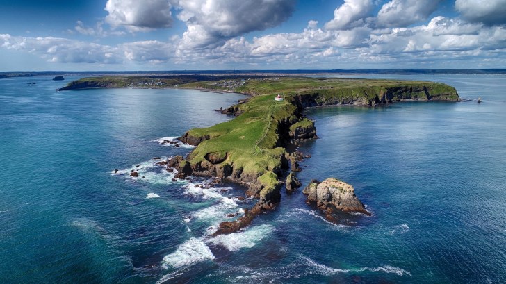 霧多布に野生のラッコを見に行ったよ🦦へきらっこ