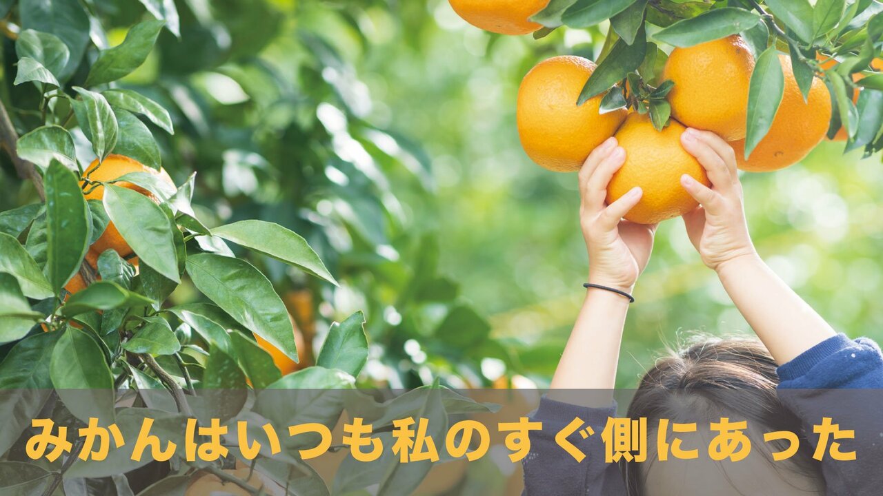 投稿 強制代執行したみかん園の法面が崩壊〜東九州自動車道: ATTAC関西グループ