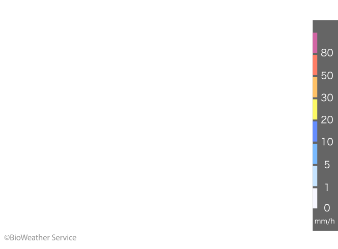 熊本県の過去の雨雲レーダー 2020年07月07日- 日本気象協会