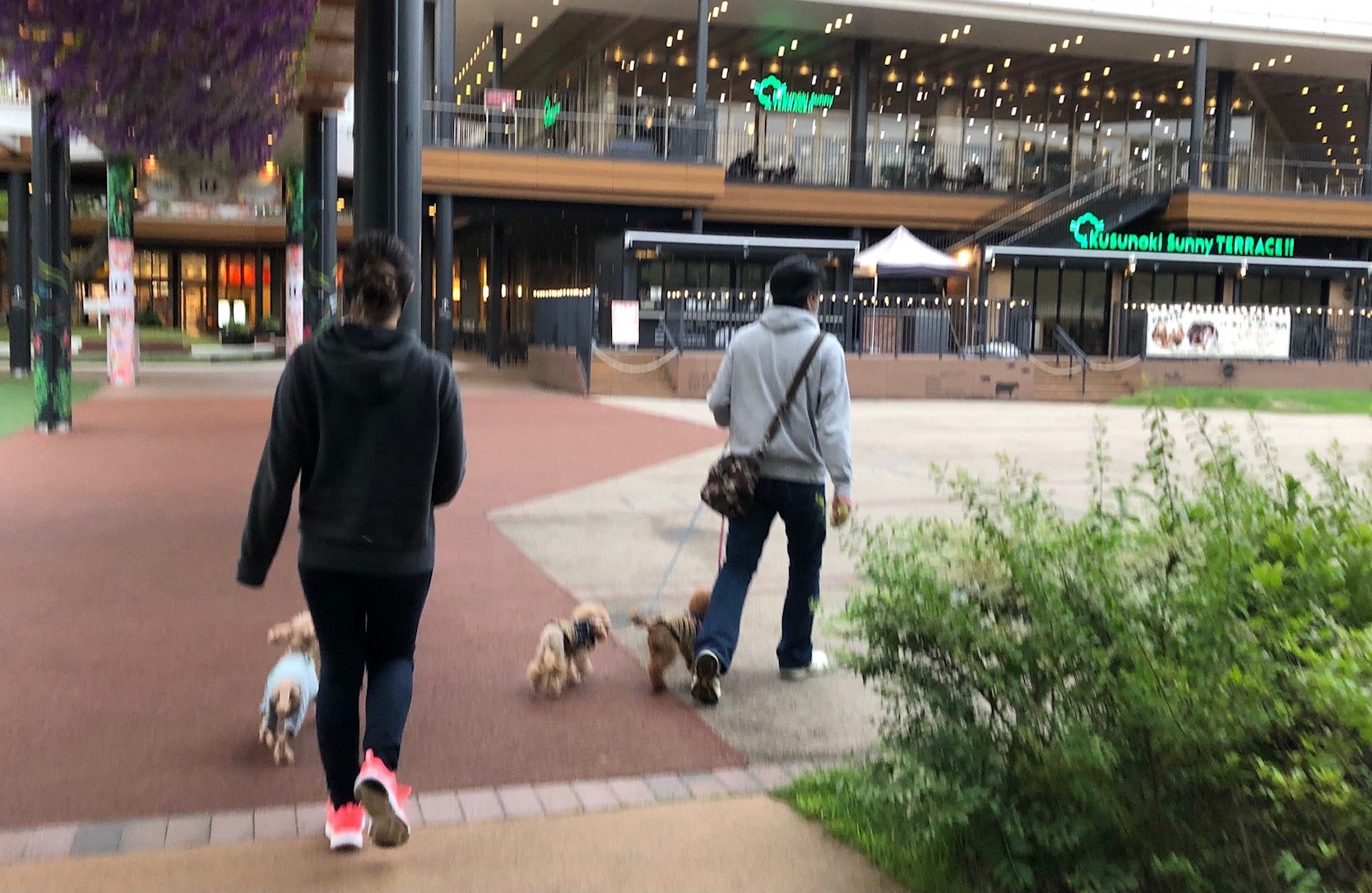 倉敷みらい公園 倉敷市岡山遊び場ぐるぐる固メ