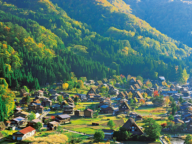白川郷のライトアップは2減の4回に 来年1～2月、雪不足や高齢化を受け：ニュース：中日BIZナビ
