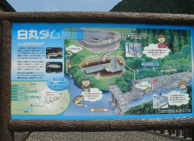 これは、奥多摩にある白丸ダム。高低差30mの螺旋階段、魚道が物珍しく、アクセスはかなり困難なエリアで夏にいくべきではなかったかもだけど笑、面白かった。白丸ダム奥多摩鳩ノ巣渓谷白丸ダム螺旋階段