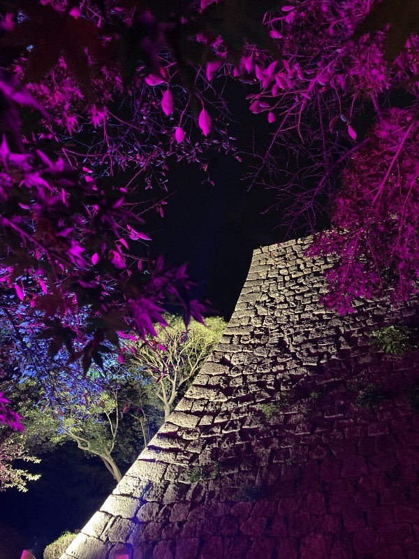 期間限定！「丸亀城キャッスルロード」で夜の幻想的な丸亀城を散策四国なおスコBlog