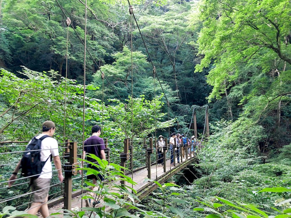高尾山自然研究路４号路のテーマは森と動物 森の中を歩きます～高尾通信