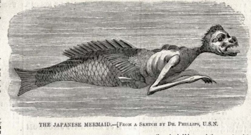 閲覧注意 イギリスの海岸に人魚の死体が漂着！画像- ワールドポケット－おもしろ海外ニュースまとめ