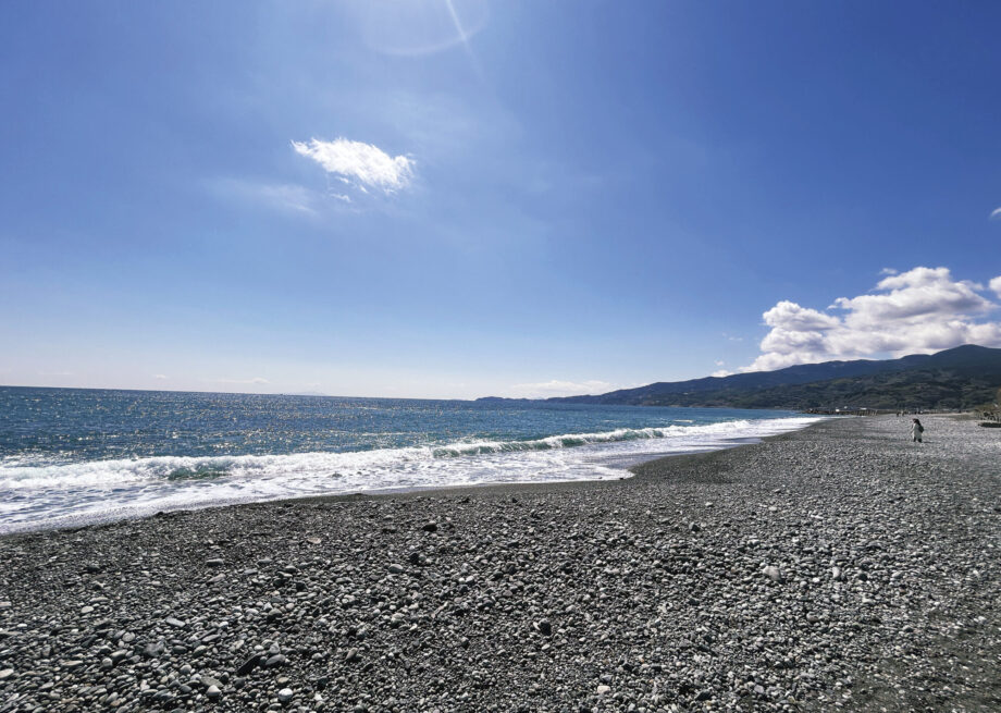 2022.8.25🫧 福井県庁インターンシップ 観光