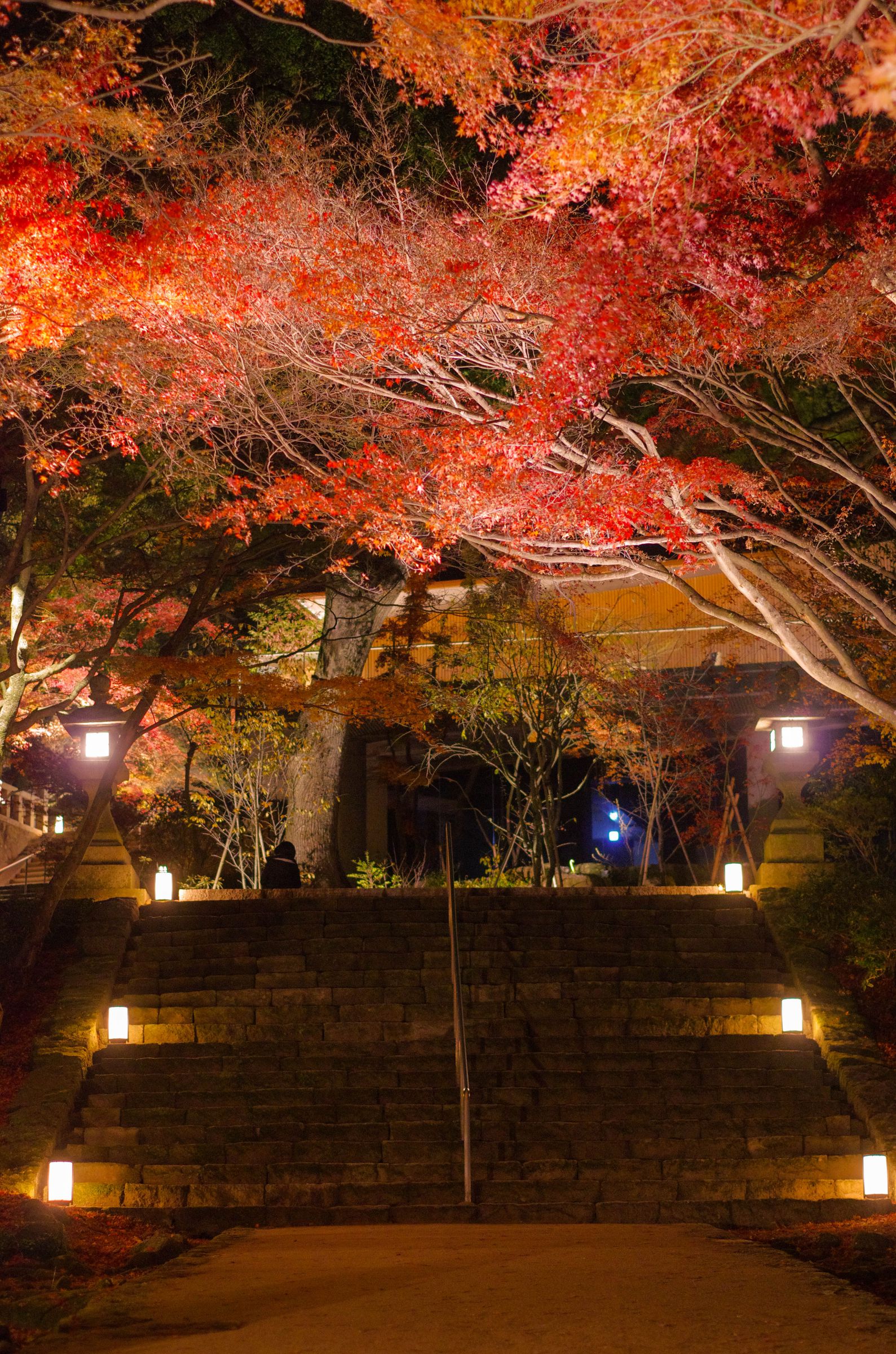 太宰府行くなら行かなきゃ損！縁結び&紅葉で有名な「竈門神社」が素敵すぎるRETRIP リトリップ