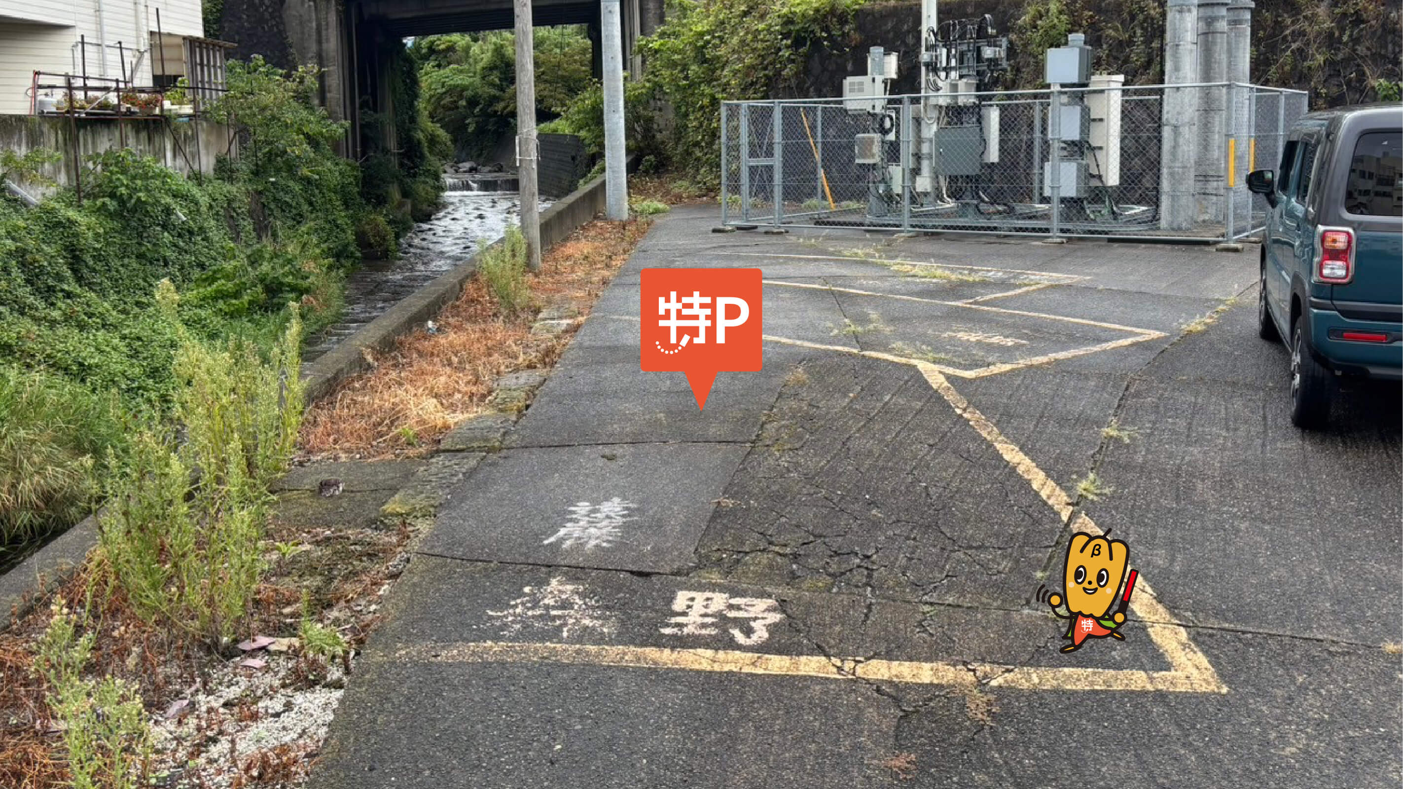 素盞鳴神社雛段飾り稲取--- 東伊豆町観光ガイド『駿河湾☆百景』