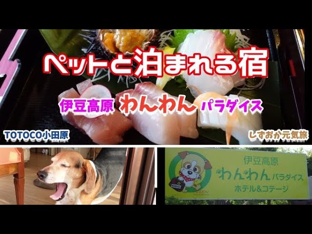 美味しいもの編 多頭犬連れ食い倒れな伊豆高原の旅③完結EL's garden☆犬天使の棲む庭