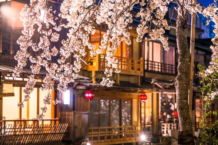 祇園四条を散策する夜の魅力！京都の美を感じる