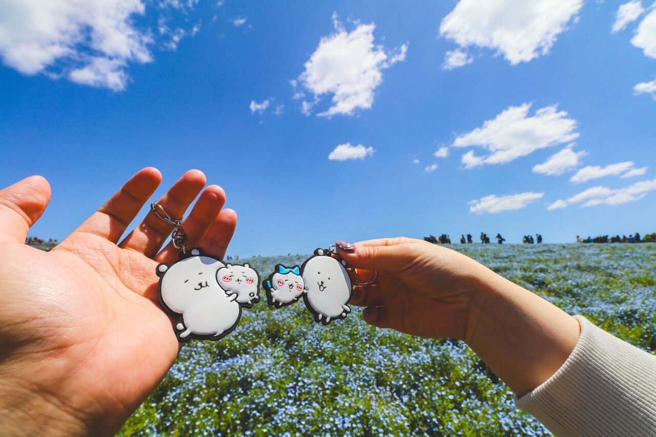 「日本の女性は世界一‼️」初来日の外国人観光客が日本で確証したこと 海外の反応 🌎