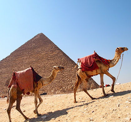 カイロ市内からギザの3大ピラミッドへの行き方は？安さを取るならバス、快適さを取るならuber!旅を最高に楽しむために