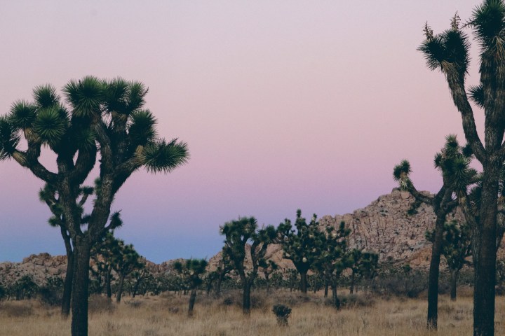レンタカーで行く7560km、初めての一人旅2日目