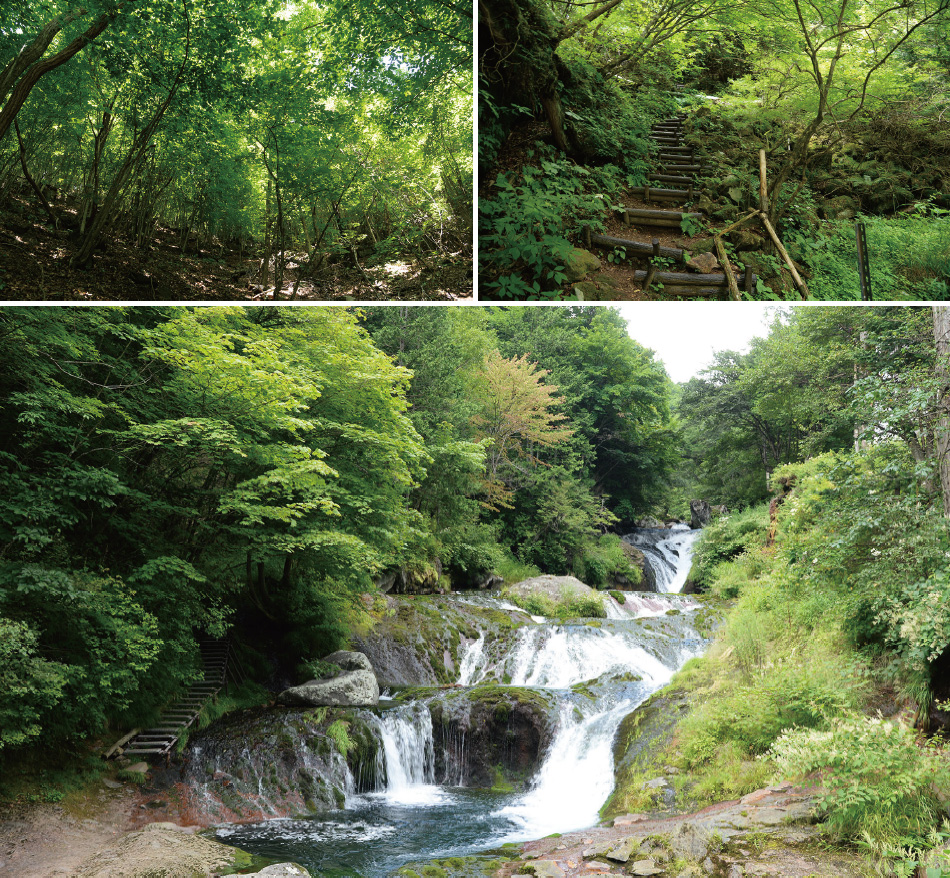 横谷峡遊歩道一部通行止めのお知らせ
