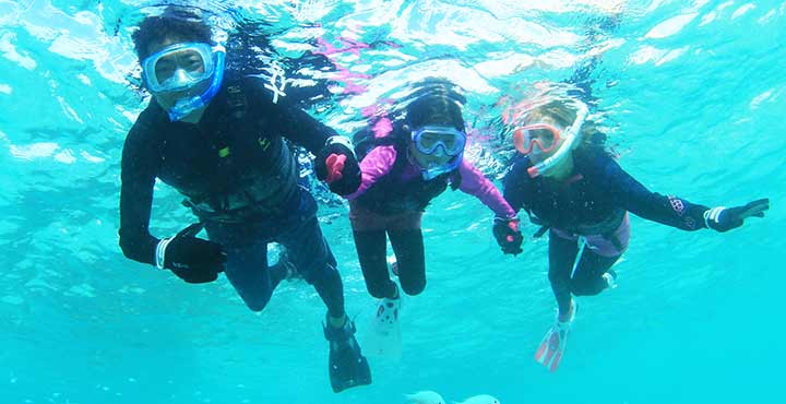 『100％ドライスノーケル』付！子供用 シュノーケリング セット