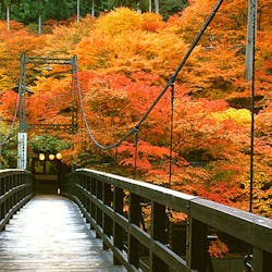 知る人ぞ知る！ 京都「紅葉名所」鉄板エリアでも穴場「三尾の古刹」へ！ しずかな絶景「錦雲渓」ハイキングレポトラベルレポートBRAVOMOUNTAIN