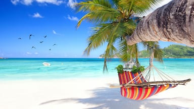 セーシェル旅行の観光日数や物価、現金の目安をご紹介│Oooh Magazine