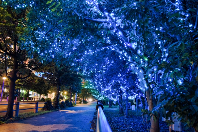 イルミネーションアイランドお台場 2021東京お台場.net